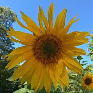 Meet your Posher, Dana